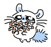caxx5d2 avatar