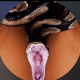 chachingbell4