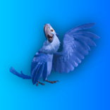 checkrio
