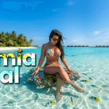 clarinhamia