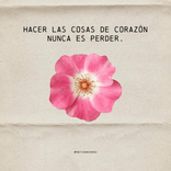 corazoncitolatino504 avatar