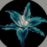 crina avatar