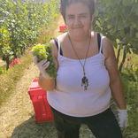 deborabianco72