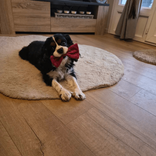 delphine42580