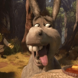 donkeynubs avatar