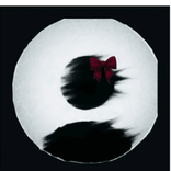 doriscarr91 avatar