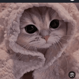 el_maleka11