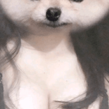 ellajabroww avatar