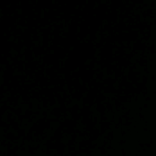 elnegon26
