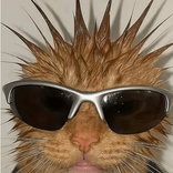 equinoccia avatar