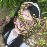 fairybelievesbelief avatar