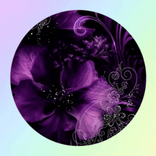 figet455 avatar