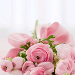floraz881