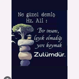 fulyatekin4444