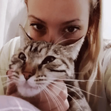 gattina336