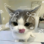 gfdejsnkbffiklc
