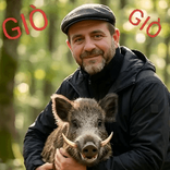 gio31
