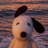 haloakuorangbaik avatar