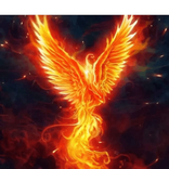hanafire avatar
