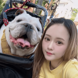 hanfei0519