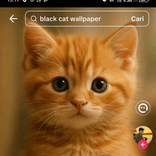 hesya614 avatar