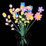 https_.archive avatar