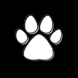 hunterpaws avatar