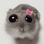 i.love.hamster08