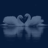 ilove_jk28 avatar