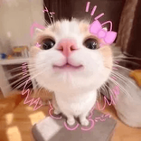 in.the.pose avatar