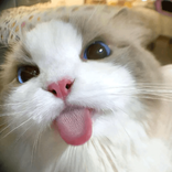 iraah avatar
