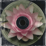 ixoxolanae avatar