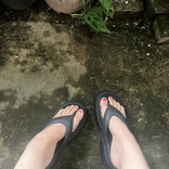 jee36619 avatar