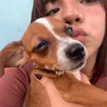 jusnelysilva avatar