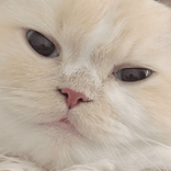 jxomeoww