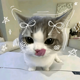 kimikimiau avatar