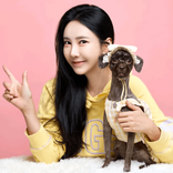 kimpobom