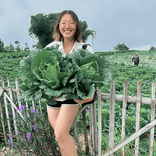 kitchengarden.id avatar
