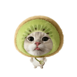 kiwi60043 avatar