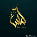 .koukoune avatar