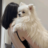 kun98881 avatar