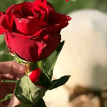 lailal1234