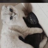 leo.and.luna.14 avatar