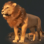 luna73684 avatar