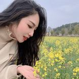 lys1234yt