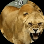 m.s.l.h3 avatar