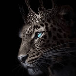 mamat.louli4