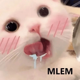meow.dancexinh avatar