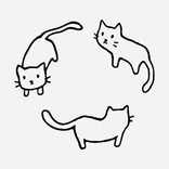 mishroooms