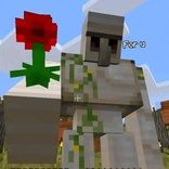 misspraew11